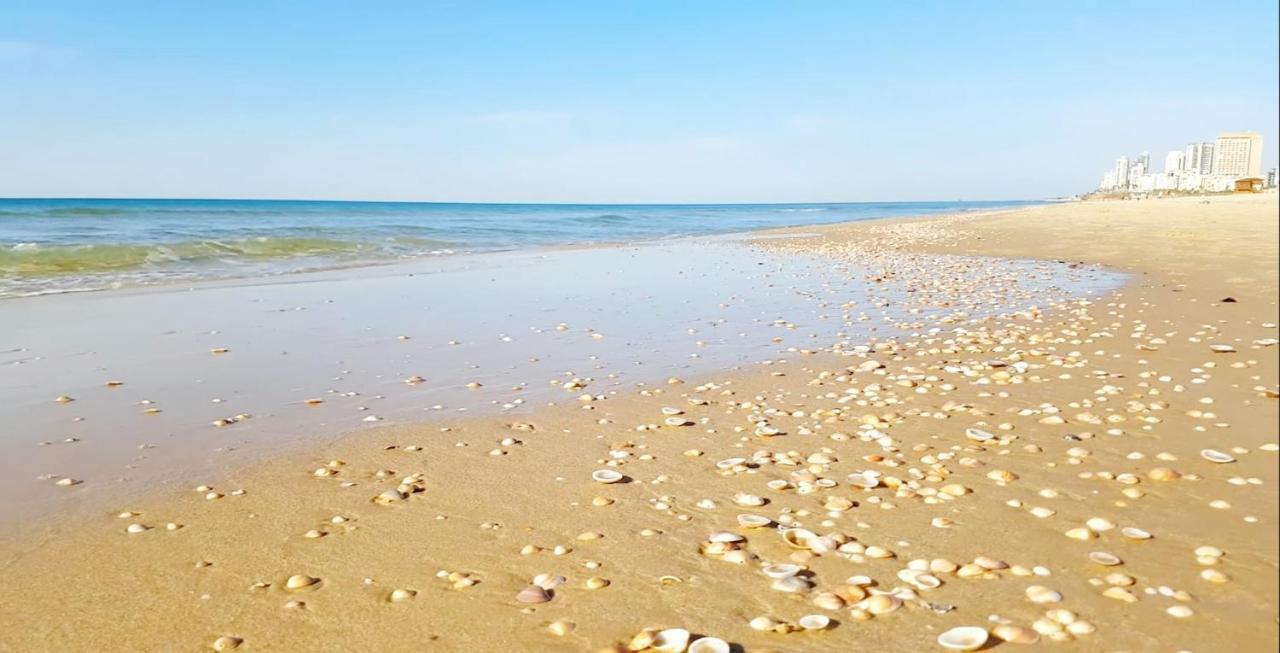 Hotel Apartment Short Term Tel Aviv Bat Yam 353 외부 사진